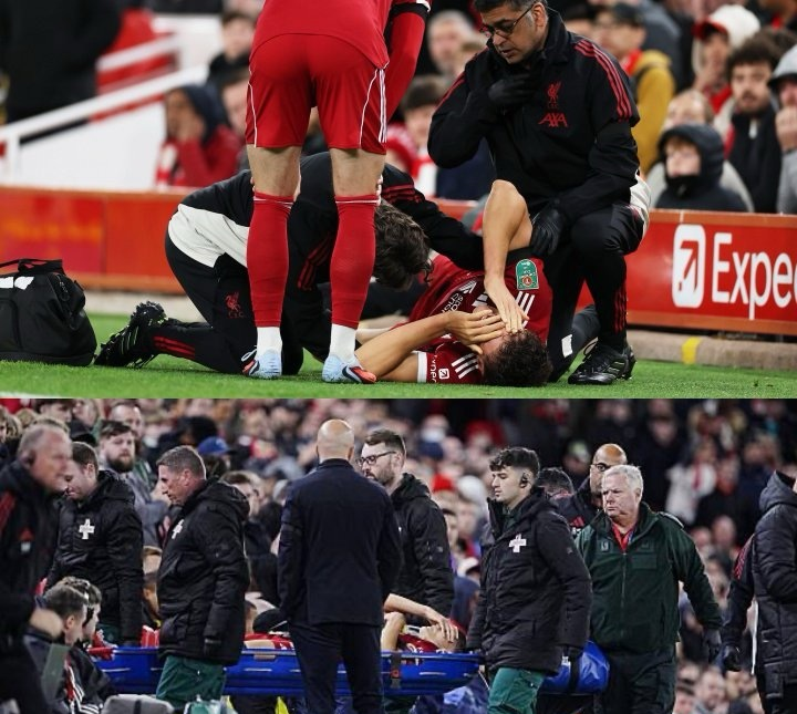 星空体育官网关键时刻菲尼克斯太阳备战法国杯国际米兰今夜伤情更新，费德勒在利物浦比赛中绝杀看傻球迷的简单介绍